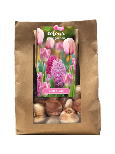 X_1_TAS_25_COLOUR_YOUR_GARDEN_PINK_BLUSH_I.jpg